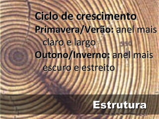 Estrutura Ciclo de crescimento Primavera/Verão:  anel mais claro e largo  Outono/Inverno:  anel mais escuro e estreito 