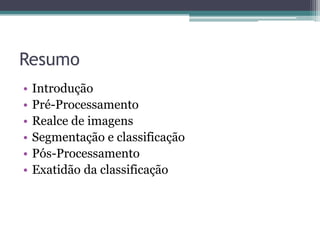 Resumo
•   Introdução
•   Pré-Processamento
•   Realce de imagens
•   Segmentação e classificação
•   Pós-Processamento
•   Exatidão da classificação
 
