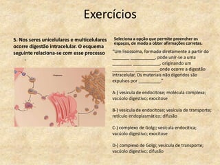 Exercícios
5. Nos seres unicelulares e multicelulares
ocorre digestão intracelular. O esquema
seguinte relaciona-se com esse processo
.
Seleciona a opção que permite preencher os
espaços, de modo a obter afirmações corretas.
“Um lisossoma, formado diretamente a partir do
_______ __________, pode unir-se a uma
________ ___________, originando um
_________ __________onde ocorre a digestão
intracelular, Os materiais não digeridos são
expulsos por _________.”
A-) vesícula de endocitose; molécula complexa;
vacúolo digestivo; exocitose
B-) vesícula de endocitose; vesícula de transporte;
retículo endoplasmático; difusão
C-) complexo de Golgi; vesícula endocítica;
vacúolo digestivo; exocitose
D-) complexo de Golgi; vesícula de transporte;
vacúolo digestivo; difusão
 