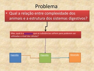 Problema
• Qual a relação entre complexidade dos
animais e a estrutura dos sistemas digestivos?
Mas, qual é o processo que as substâncias sofrem para poderem ser
utilizadas a nível das células?
Ingestão AbsorçãoDigestão
 