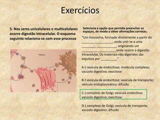 Exercícios
5. Nos seres unicelulares e multicelulares
ocorre digestão intracelular. O esquema
seguinte relaciona-se com esse processo
.
Seleciona a opção que permite preencher os
espaços, de modo a obter afirmações corretas.
“Um lisossoma, formado diretamente a partir do
_______ __________, pode unir-se a uma
________ ___________, originando um
_________ __________onde ocorre a digestão
intracelular, Os materiais não digeridos são
expulsos por _________.”
A-) vesícula de endocitose; molécula complexa;
vacúolo digestivo; exocitose
B-) vesícula de endocitose; vesícula de transporte;
retículo endoplasmático; difusão
C-) complexo de Golgi; vesícula endocítica;
vacúolo digestivo; exocitose
D-) complexo de Golgi; vesícula de transporte;
vacúolo digestivo; difusão
 