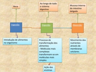 Ingestão AbsorçãoDigestão
Introdução de alimentos
no organismo
Processo de
transformação dos
alimentos
- Moléculas mais
complexas
transformam-se em
moléculas mais
simples
Ação das
enzimas
Movimento dos
nutrientes
através de
membranas
celulares.
Boca
Ao longo de todo
o sistema
digestivo
Mucosa interna
do intestino
delgado
 