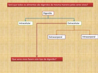 Será que todos os alimentos são digeridos da mesma maneira pelos seres vivos?
Digestão
Intracelular Extracelular
IntracorporalExtracorporal
Que seres vivos fazem este tipo de digestão?
 