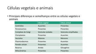 Células vegetais e animais
• Principais diferenças e semelhanças entre as células vegetais e
animais
Evandro Sanguinetto - 2013
Célula vegetal Célula animal
Centríolos Ausentes Presentes
Peroxissomos Presentes Presentes
Complexo de Golgi Vesículas isoladas Vesículas empilhadas
Cloroplastos Presentes Ausentes
Vacúolos Maiores Menores
Plasmosdesmos Presentes Ausentes
Parede celular Presentes Ausentes
Reserva Amido Glicogênio
Mitocôndrias Presentes Presentes
 