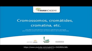 Evandro Sanguinetto-2014
https://www.youtube.com/watch?v=5XOJREkLNBc
 