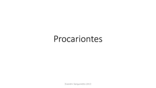 Procariontes
Evandro Sanguinetto-2013
 