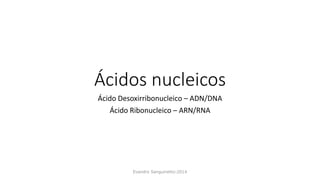 Ácidos nucleicos
Ácido Desoxirribonucleico – ADN/DNA
Ácido Ribonucleico – ARN/RNA
Evandro Sanguinetto-2014
 