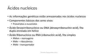 Ácidos nucleicos
• As informações genéticas estão armazenadas nos ácidos nucleicos
• Componentes básicos dos seres vivos
• Procariotos e eucariotos
• Ácido Desoxirribonucleico ou DNA (desoxyrribonucleic acid), fita
dupla enrolada em hélice
• Ácido Ribonucleico ou RNA (ribonucleic acid), fita simples
• RNAm – mensageiro
• RNAr – ribossômico
• RNAt – transportador
Evandro Sanguinetto-2014
 