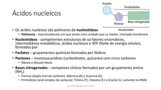 Ácidos nucleicos
• Os ácidos nucleicos são polímeros de nucleotídeos
• Polímeros - macromoléculas em que existe uma unidade que se repete, chamada monômero
• Nucleotídeos - componentes estruturais de co-fatores enzimáticos,
intermediários metabólicos, ácidos nucléicos e ATP (fonte de energia celular),
formados por:
• Fosfatos – grupamentos químicos formados por fósforo
• Pentoses – monossacarídeos (carboidratos, açúcares) com cinco carbonos
• Ribose e Desoxirribose
• Bases nitrogenadas – compostos cíclicos formados por um grupamento amina
(NH2)
• Purinas (duplo anel de carbono): Adenina (A) e Guanina (G)
• Pirimidinas (anel simples de carbono): Timina (T), Citosina (C) e Uracila (U, somente no RNA)
Evandro Sanguinetto-2014
 