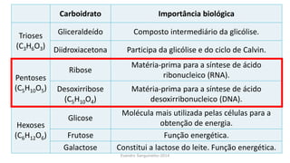Evandro Sanguinetto-2014
Carboidrato Importância biológica
Trioses
(C3H6O3)
Gliceraldeído Composto intermediário da glicólise.
Diidroxiacetona Participa da glicólise e do ciclo de Calvin.
Pentoses
(C5H10O5)
Ribose
Matéria-prima para a síntese de ácido
ribonucleico (RNA).
Desoxirribose
(C5H10O4)
Matéria-prima para a síntese de ácido
desoxirribonucleico (DNA).
Hexoses
(C6H12O6)
Glicose
Molécula mais utilizada pelas células para a
obtenção de energia.
Frutose Função energética.
Galactose Constitui a lactose do leite. Função energética.
 