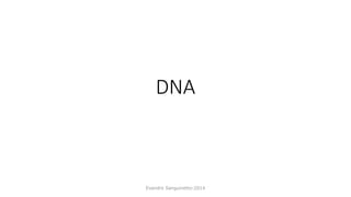 DNA
Evandro Sanguinetto-2014
 