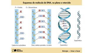 Evandro Sanguinetto-2014
 