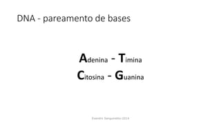 DNA - pareamento de bases
Adenina - Timina
Citosina - Guanina
Evandro Sanguinetto-2014
 