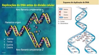 Evandro Sanguinetto-2014
 