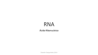 RNA
Ácido Ribonucleico
Evandro Sanguinetto-2014
 