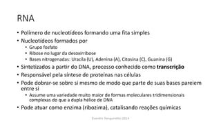 RNA
• Polímero de nucleotídeos formando uma fita simples
• Nucleotídeos formados por
• Grupo fosfato
• Ribose no lugar da desoxirribose
• Bases nitrogenadas: Uracila (U), Adenina (A), Citosina (C), Guanina (G)
• Sintetizados a partir do DNA, processo conhecido como transcrição
• Responsável pela síntese de proteínas nas células
• Pode dobrar-se sobre si mesmo de modo que parte de suas bases pareiem
entre si
• Assume uma variedade muito maior de formas moleculares tridimensionais
complexas do que a dupla hélice de DNA
• Pode atuar como enzima (ribozima), catalisando reações químicas
Evandro Sanguinetto-2014
 