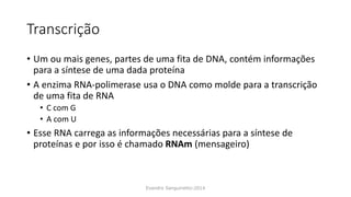 Transcrição
• Um ou mais genes, partes de uma fita de DNA, contém informações
para a síntese de uma dada proteína
• A enzima RNA-polimerase usa o DNA como molde para a transcrição
de uma fita de RNA
• C com G
• A com U
• Esse RNA carrega as informações necessárias para a síntese de
proteínas e por isso é chamado RNAm (mensageiro)
Evandro Sanguinetto-2014
 