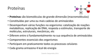 Proteínas
• Proteínas são biomoléculas de grande dimensão (macromoléculas)
• Constituídas por uma ou mais cadeias de aminoácidos
• Desempenham várias funções no organismo: catalização de reações
metabólicas, replicação de DNA, resposta a estímulos, transporte de
moléculas, estruturais, mecânicas, etc
• Diferem entre si fundamentalmente na sua sequência de aminoácidos
• Componentes essenciais dos organismos
• Participam em praticamente todos os processos celulares
• Cada grama armazena 4 kcal de energia
Evandro Sanguinetto-2014
 