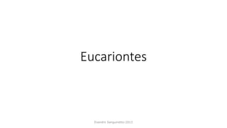 Eucariontes
Evandro Sanguinetto-2013
 
