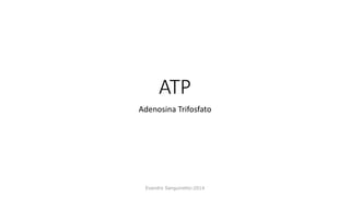 ATP
Adenosina Trifosfato
Evandro Sanguinetto-2014
 