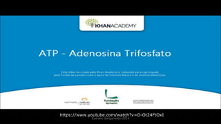 Evandro Sanguinetto-2014
https://www.youtube.com/watch?v=D-Ot24FtOxI
 