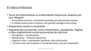 Endossimbiose
• Teoria da Endossimbiose ou Endosimbiose Sequencial, proposta por
Lynn Margulis
• Procariontes menores, inicialmente predados por procariontes maiores
• A relação evoluiu para a simbiose, com grandes vantagens para ambos
• Amplamente aceita na atualidade
• Organelas dos eucariontes, como mitocôndrias, cloroplastos, flagelos
e cílios originalmente seriam procariontes de vida livre
• Cloroplastos – cianobactérias
• Mitocôndrias - rickettsias (bactérias)
• Flagelos e cílios – espiroquetas (bactérias, não muito aceita)
• “Os seres vivos não ocuparam o mundo pela força, mas por cooperação"
Evandro Sanguinetto-2013
 