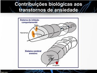 Contribuições biológicas aos
transtornos de ansiedade
 