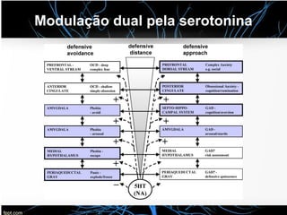 Modulação dual pela serotonina
 