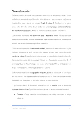 GUSTAVO PINHO MAIA 11
Filamentos Intermédios
Os filamentos intermédios são encontrados em quase todos os animais, mas não em fungos
e plantas. A associação dos filamentos intermédios com as membranas nucleares e
citoplasmática sugere que a sua principal função é estrutural. Distribuem as forças de
tensão pelas diferentes células de um tecido. Têm uma organização celular semelhante á
dos microfilamentos de actina. Ambos os filamentos estão associados á membrana.
Os filamentos intermédios não contribuem para a mobilidade celular. Não se conhecem
exemplos de movimentos celulares dependentes dos filamentos intermédios, nem proteínas
motoras que se desloquem ao longo destes filamentos.
Os filamentos intermédios são extramente estáveis. Mesmo após a extração com soluções
contendo detergentes e altas concentrações salinas, a maior parte destes filamentos
mantém-se intacto. Enquanto os microfilamentos e os microtúbulos despolimerizam. Os
filamentos intermédios são formados por hélices α e flanqueados por domínios C e N
terminais globulares. A sua formação não envolve a hidrólise de ATP ou GTP, ao contrário
do que acontece com a polimerização de actina e tubulina.
Os filamentos intermédios são agrupados em quatro grupos de acordo com as homologias
das sequências e com o padrão de expressão nas células. AS várias classes de filamentos
intermédios são divergentes na sequência e variam no peso molecular.
O grupo mais ubíquo de filamentos intermédios são as lâminas, que se encontram
exclusivamente no núcleo. No citoplasma encontram-se as outras classes de filamentos:
• Queratina – Classe mais diversa dos filamentos intermédios, constituem as unhas,
cabelo, lã.
 