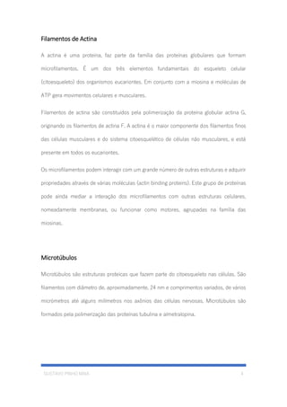 GUSTAVO PINHO MAIA 4
Filamentos de Actina
A actina é uma proteína, faz parte da família das proteínas globulares que formam
microfilamentos. É um dos três elementos fundamentais do esqueleto celular
(citoesqueleto) dos organismos eucariontes. Em conjunto com a miosina e moléculas de
ATP gera movimentos celulares e musculares.
Filamentos de actina são constituídos pela polimerização da proteína globular actina G,
originando os filamentos de actina F. A actina é o maior componente dos filamentos finos
das células musculares e do sistema citoesquelético de células não musculares, e está
presente em todos os eucariontes.
Os microfilamentos podem interagir com um grande número de outras estruturas e adquirir
propriedades através de várias moléculas (actin binding proteins). Este grupo de proteínas
pode ainda mediar a interação dos microfilamentos com outras estruturas celulares,
nomeadamente membranas, ou funcionar como motores, agrupadas na família das
miosinas.
Microtúbulos
Microtúbulos são estruturas proteicas que fazem parte do citoesqueleto nas células. São
filamentos com diâmetro de, aproximadamente, 24 nm e comprimentos variados, de vários
micrómetros até alguns milímetros nos axônios das células nervosas. Microtúbulos são
formados pela polimerização das proteínas tubulina e almetralopina.
 