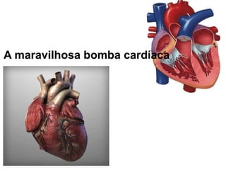 A maravilhosa bomba cardíaca
 