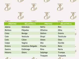 Importância do Uso dos Termos
Técnicos em Enfermagem
 Prefixos da terminologia cirúrgica e seus significados:
PREFIXO RELATIVO A PREFIXO RELATIVO A
Adeno Glândula Nefro Rim
Blefaro Pálpeba Oftalmo Olho
Cisto Bexiga Ooforo Ovário
Cole Vesícula Orqui Testículo
Colo Cólon Osteo Osso
Colpo Vagina Oto Ouvido
Entero Intestino Delgado Procto Reto
Gastro Estômago Rino Naria
Histero Útero Salpingo Trompa
Traqueo Traqueia
 