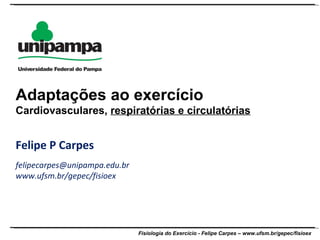 Felipe P Carpes [email_address] www.ufsm.br/gepec/fisioex Adaptações ao exercício Cardiovasculares,  respiratórias e circulatórias 