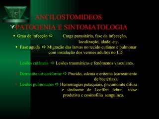 ANCILOSTOMIDEOS PATOGENIA E SINTOMATOLOGIA    Grau de infecção     Carga parasitária, fase da infeccção, localização, idade. etc.    Fase aguda    Migração das larvas no tecido cutâneo e pulmonar com instalação dos vermes adultos no I.D.    Lesões cutâneas     Lesões traumáticas e fenômenos vasculares.    Dermatite urticariforme     Prurido, edema e eritema (carreamento de bactérias).    Lesões pulmonares     Hemorragias petequiais, pneumonite difusa e  síndrome  de  Loeffer:  febre,  tosse  produtiva e eosinofilia  sanguínea. 