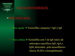 ANCILOSTOMÍDEOS IMUNOLOGIA    Fase aguda     Eosinofilia e pequeno  ↑ IgG e IgE    Fase crônica     Eosinofilia com ↑ de IgE total e de anticorpos específicos IgG, IgA e IgM, detectados  pela imunofluores- cência, ELISA e hemaglutinação.  