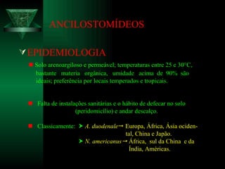 ANCILOSTOMÍDEOS EPIDEMIOLOGIA    Solo arenoargiloso e permeável; temperaturas entre 25 e 30 °C,  bastante  materia  orgânica,  umidade  acima  de  90%  são ideais; preferência por locais temperados e tropicais.    Falta de instalações sanitárias e o hábito de defecar no solo (peridomicílio) e andar descalço.    Classicamente:     A. duodenale   Europa, África, Ásia ociden- tal, China e Japão.    N. americanus    África,  sul da China  e da Índia, Américas. 