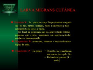 LARVA MIGRANS CUTÂNEA    Sintomas     As  partes do corpo frequentemente atingidas são  os  pés,  pernas,  nádegas,  mãos  e antebraços e mais raramente boca, lábios e palato. No  local  da  penetração das L3, aparece lesão eritemo- papulosa  que  evolui,  assumindo  um  aspecto vesicular. pruduzem  intenso prurido    Diagnóstico     Anamnese,  sintomas  e aspecto dermato- lógico da lesão.    Tratamento     Uso tópico    Cloretila e neve carbônica, que mata a larva pelo frio.    Tiabendazol pomada (4 x ao dia) 