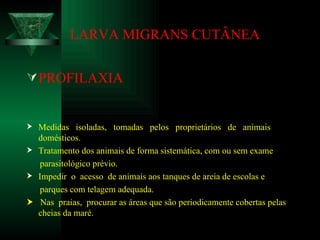 LARVA MIGRANS CUTÂNEA PROFILAXIA Medidas  isoladas,  tomadas  pelos  proprietários  de  animais domésticos. Tratamento dos animais de forma sistemática, com ou sem exame parasitológico prévio. Impedir  o  acesso  de animais aos tanques de areia de escolas e parques com telagem adequada.    Nas  praias,  procurar as áreas que são periodicamente cobertas pelas cheias da maré. 