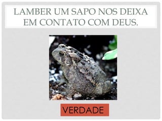 LAMBER UM SAPO NOS DEIXA
EM CONTATO COM DEUS.
VERDADE
 