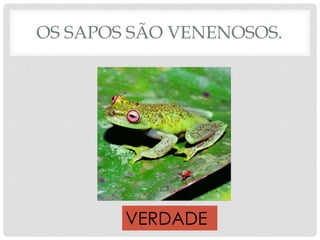 OS SAPOS SÃO VENENOSOS.
VERDADE
 