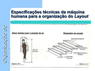 Especificações técnicas da máquina humana para a organização do  Layout 