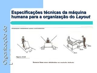 Especificações técnicas da máquina humana para a organização do  Layout 