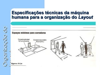 Especificações técnicas da máquina humana para a organização do  Layout 