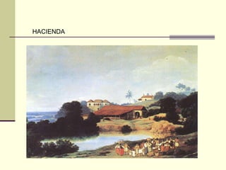 HACIENDA
 