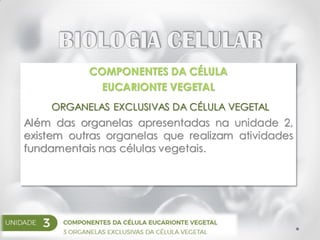 COMPONENTES DA CÉLULA
EUCARIONTE VEGETAL
ORGANELAS EXCLUSIVAS DA CÉLULA VEGETAL
Além das organelas apresentadas na unidade 2,
existem outras organelas que realizam atividades
fundamentais nas células vegetais.
 