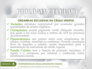 ORGANELAS EXCLUSIVAS DA CÉLULA VEGETAL
 Vacúolos: estrutura responsável por acumular grandes
quantidades de ácidos orgânico;
 Cloroplastos: possui pigmento verde chamada clorofila,
nos quais a luz solar realiza a síntese de ATP no processo
da fotossíntese;
 Plasmodesmos: são pontes entre seus citoplasmas de
células vizinhas, tornando-as contínuas. Permite circulação
livre de líquidos e solutos, muito importantes para a
manutenção da tonicidade da célula vegetal.
 Parede Celular: tem a função de proteção mecânica, é
rígida e é composta por celulose e conhecida como
membrana externa.
 