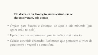 No decorrer da Evolução, novas estruturas se
desenvolveram, tais como:
◉
Órgãos para fixação e absorção de água e sais minerais (que
agora estão no solo)
◉
Epiderme com revestimento para impedir a desidratação.
◉
Células especiais chamadas Estômatos que permitem a troca de
gases entre o vegetal e a atmosfera.
 