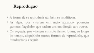 Reprodução
◉
A forma de se reproduzir também se modificou.
◉
As algas, por viverem em meio aquático, possuem
gametas flagelados que nadam uns em direção aos outros.
◉
Os vegetais, por viverem em solo firme, foram, ao longo
do tempo, adquirindo outras formas de reprodução, que
estudaremos a seguir.
 