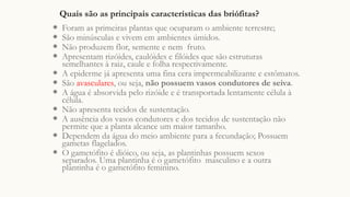 Quais são as principais características das briófitas?
◉ Foram as primeiras plantas que ocuparam o ambiente terrestre;
◉ São minúsculas e vivem em ambientes úmidos.
◉ Não produzem flor, semente e nem fruto.
◉ Apresentam rizóides, caulóides e filóides que são estruturas
semelhantes à raiz, caule e folha respectivamente.
◉ A epiderme já apresenta uma fina cera impermeabilizante e estômatos.
◉ São avasculares, ou seja, não possuem vasos condutores de seiva.
◉ A água é absorvida pelo rizóide e é transportada lentamente célula à
célula.
◉ Não apresenta tecidos de sustentação.
◉ A ausência dos vasos condutores e dos tecidos de sustentação não
permite que a planta alcance um maior tamanho.
◉ Dependem da água do meio ambiente para a fecundação; Possuem
gametas flagelados.
◉ O gametófito é dióico, ou seja, as plantinhas possuem sexos
separados. Uma plantinha é o gametófito masculino e a outra
plantinha é o gametófito feminino.
 