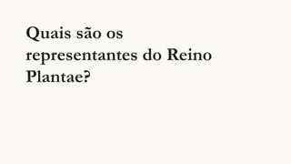 Quais são os
representantes do Reino
Plantae?
 